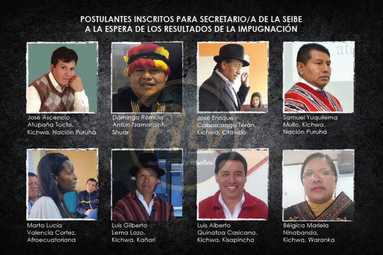 Casi finalistas SEIBE-140525