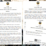 Estado de excepción, Decreto 202-01-01