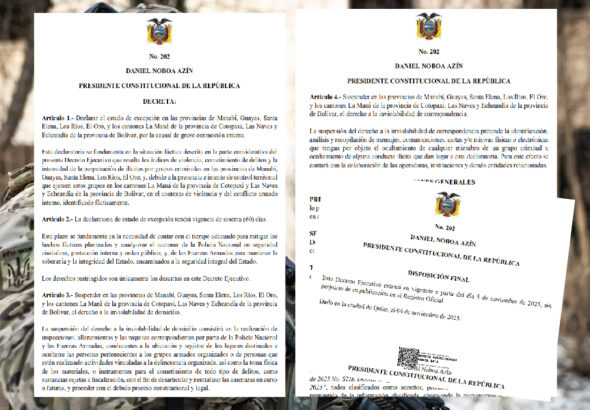 Estado de excepción, Decreto 202-01-01