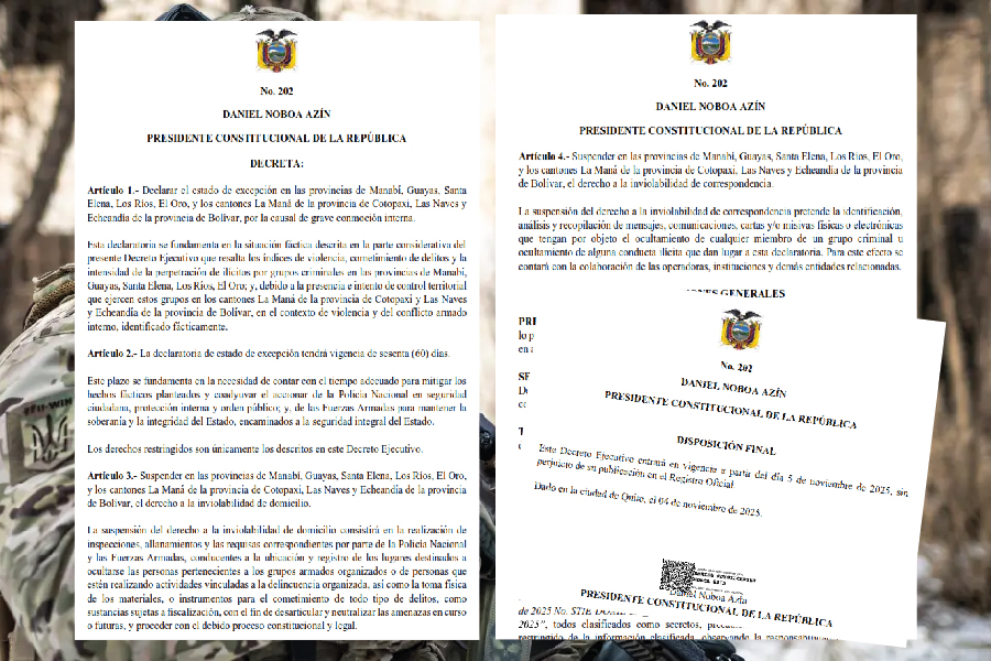 Estado de excepción, Decreto 202-01-01