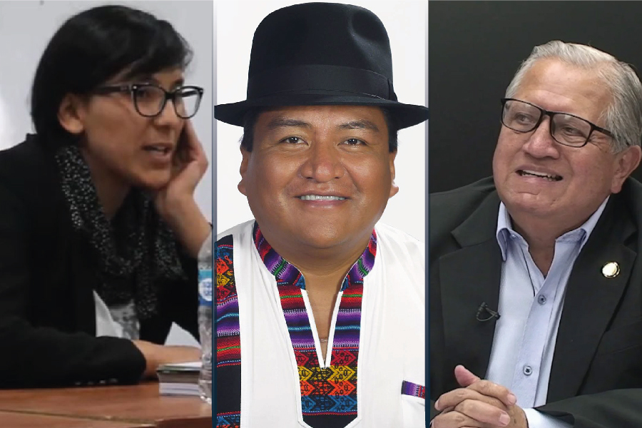 Seguridad social y pueblos indígenas-01